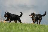 BEAUCERON 606